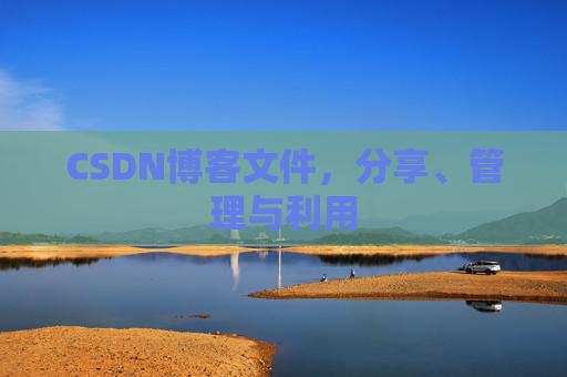 CSDN博客文件，分享、管理与利用